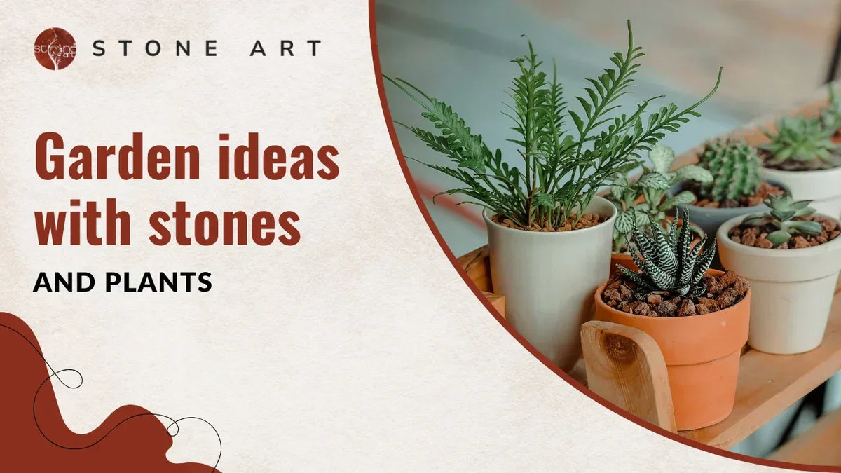 Garden Ideas with Stones and Plants
