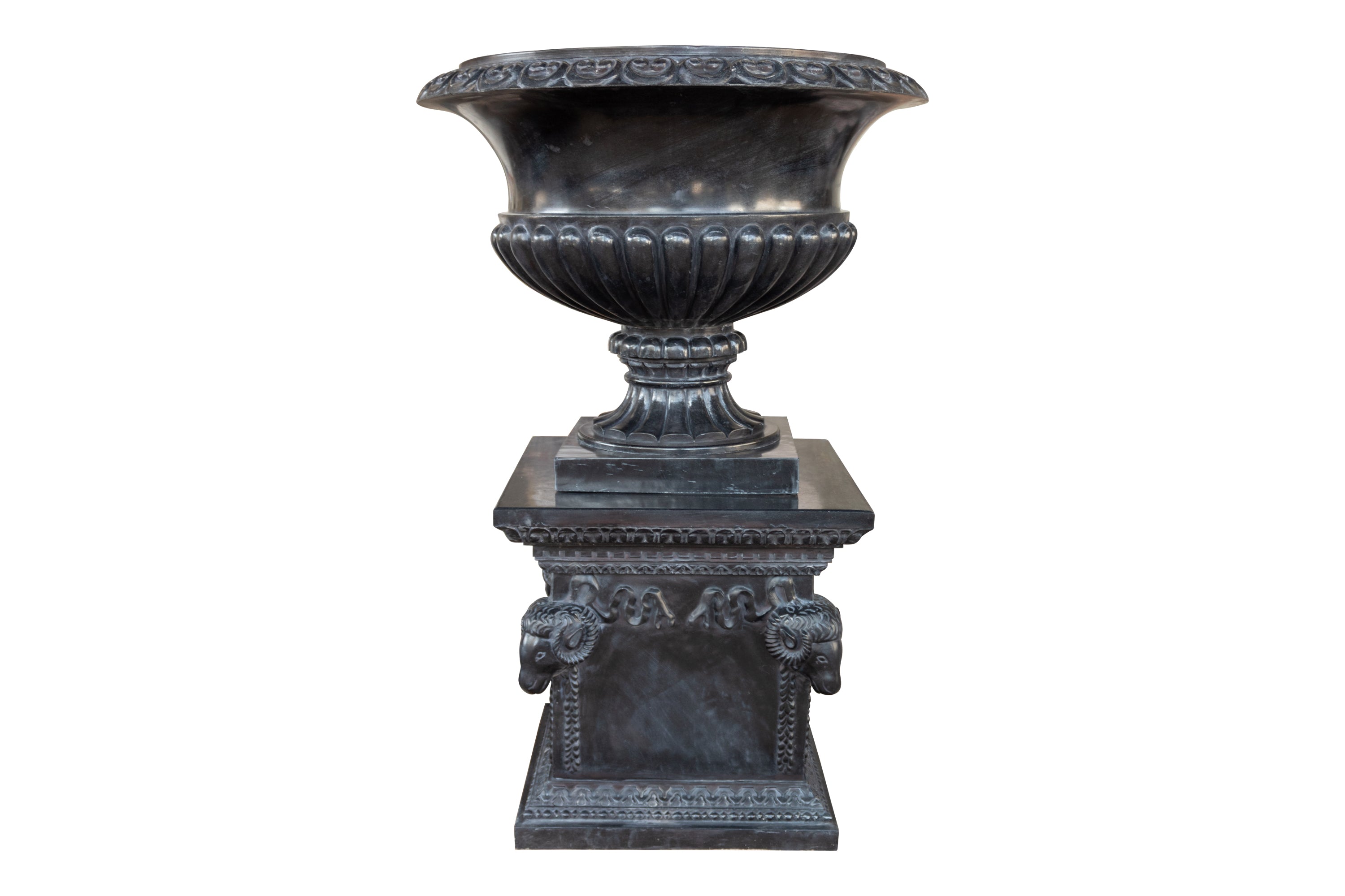 Midnight Majesty Planter