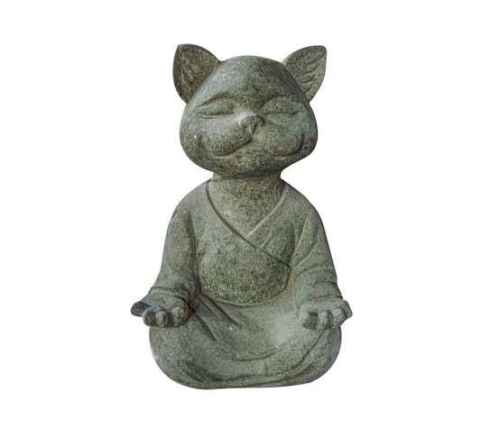 Meditating Cat