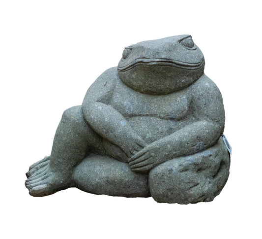 Restin Frog