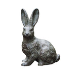 Hare -Rabbit