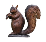 Squirell