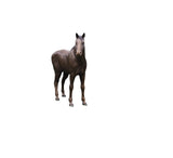 Stone Horse Sculpture