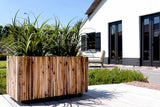 Banyan Bliss Wood-Finish Planter