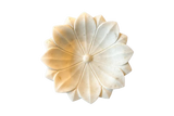 Marble Lotus Tray