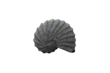 Stone Shell Garden Accent