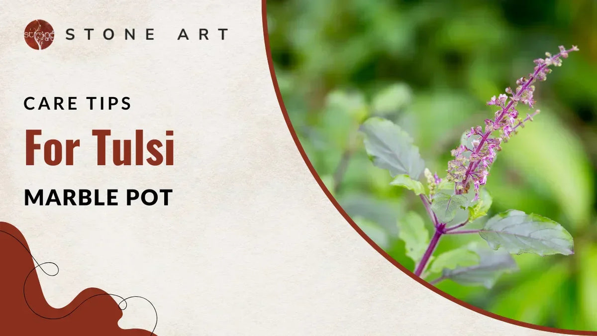 Care Tips For Tulsi Marble Pot