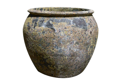 Castor Planter