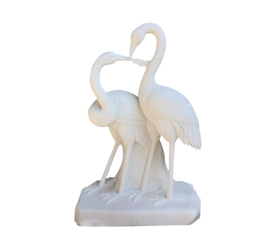 Eternal Elegance: A couple of Swans