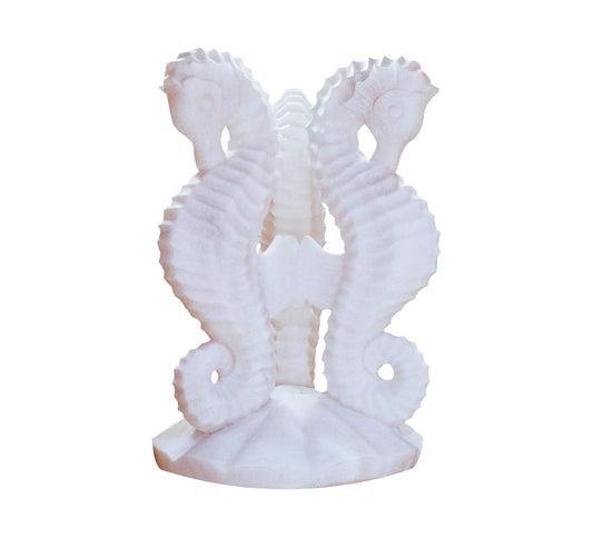 Ocean's Trio of Sea Horse
