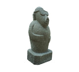 Standing Pig With Glares