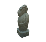 Standing Pig With Glares