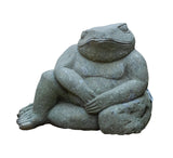 Restin Frog