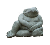 Restin Frog