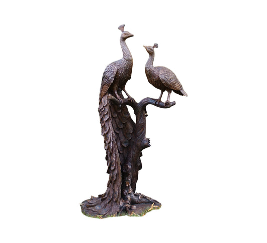 2 Peacock On Tree