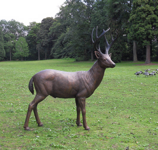 Male Standing Deer Sculpture