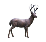 Male Standing Deer