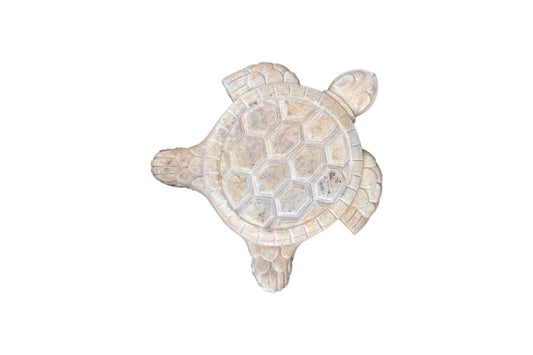 Turtle Stepping Stone